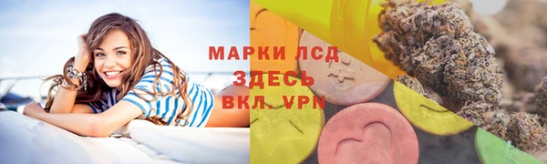 ГАЛЛЮЦИНОГЕННЫЕ ГРИБЫ Алексин