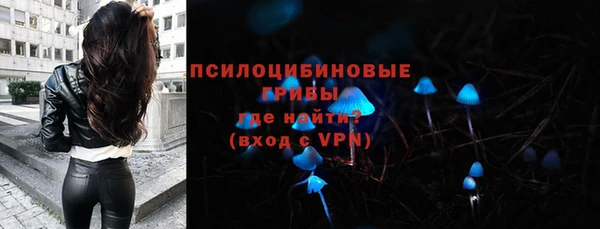 ГАЛЛЮЦИНОГЕННЫЕ ГРИБЫ Алексин