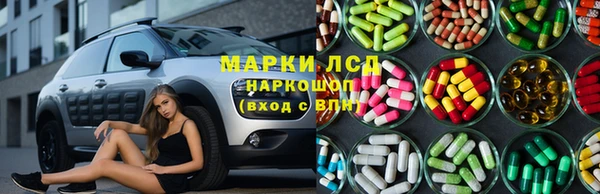 ГАЛЛЮЦИНОГЕННЫЕ ГРИБЫ Алексин